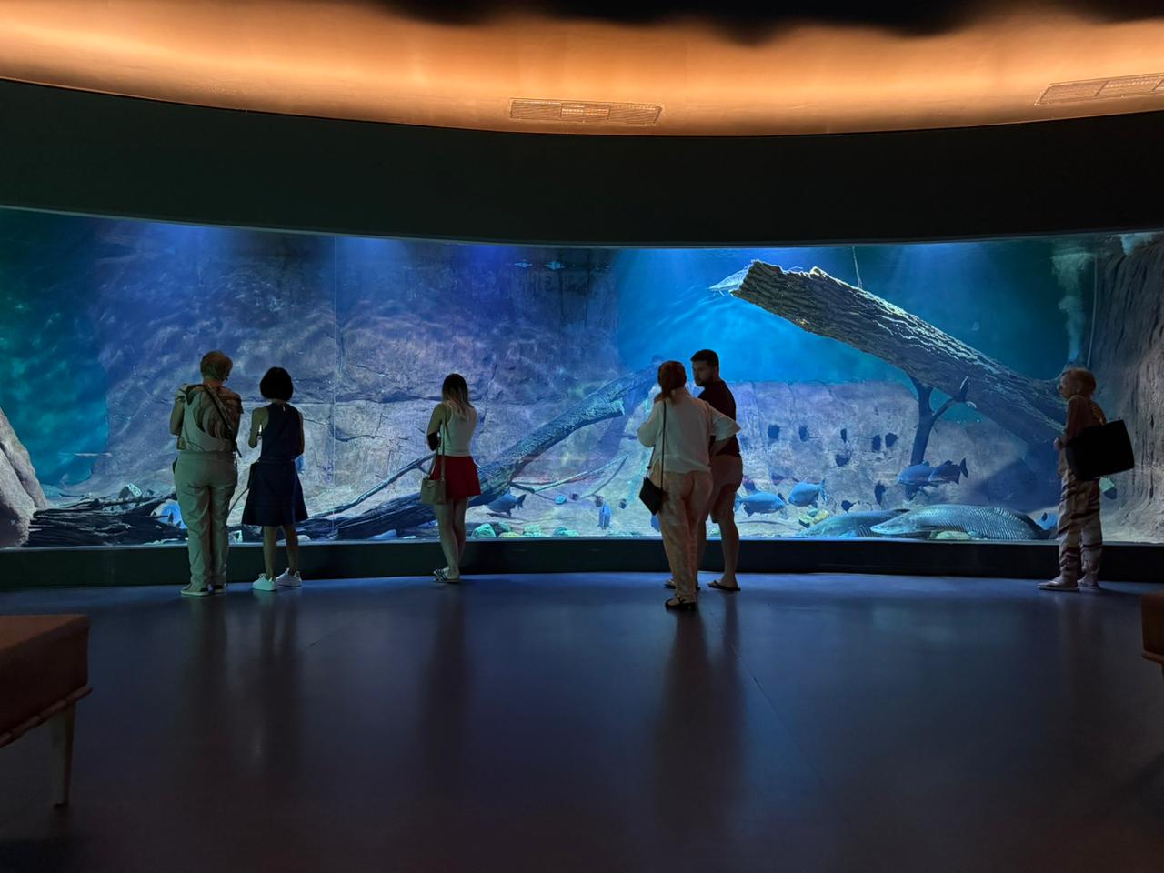 Bioparque Pantanal 3